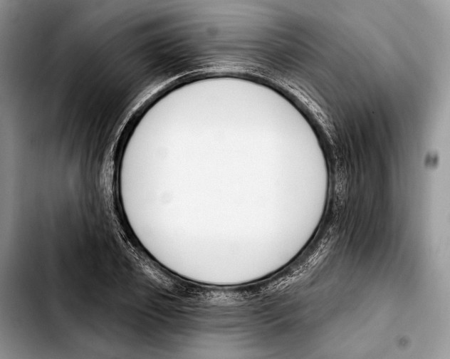 X0000103420933200810101015