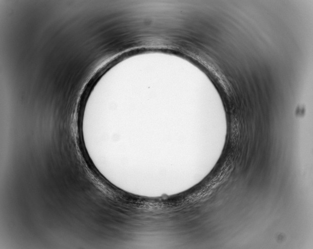 X0000103420935200810101015