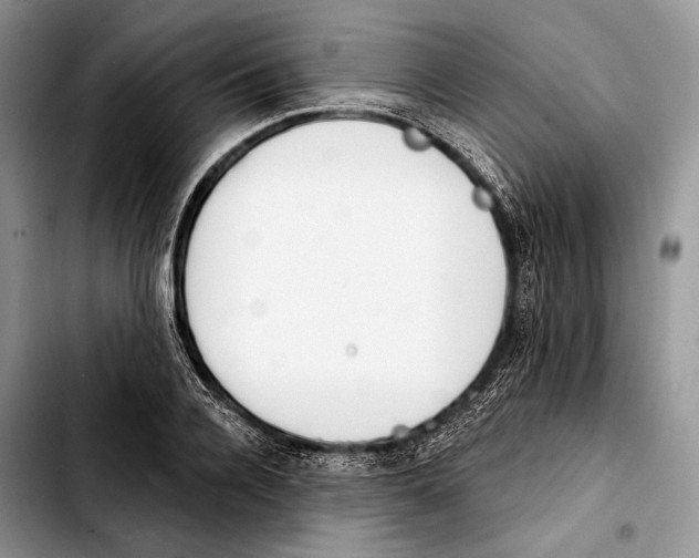 X0000103420936200810101015