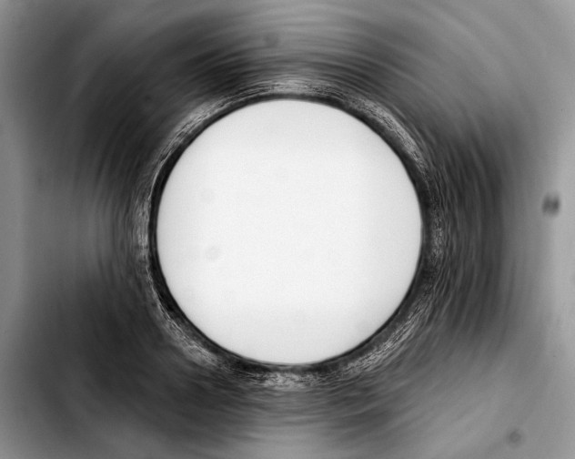 X0000103420938200810101015
