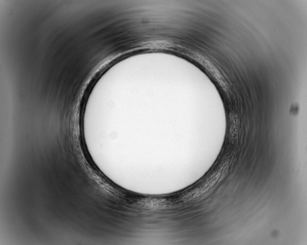 X0000103420939200810101015