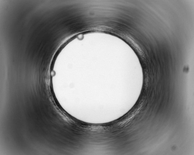 X0000103420940200810101015