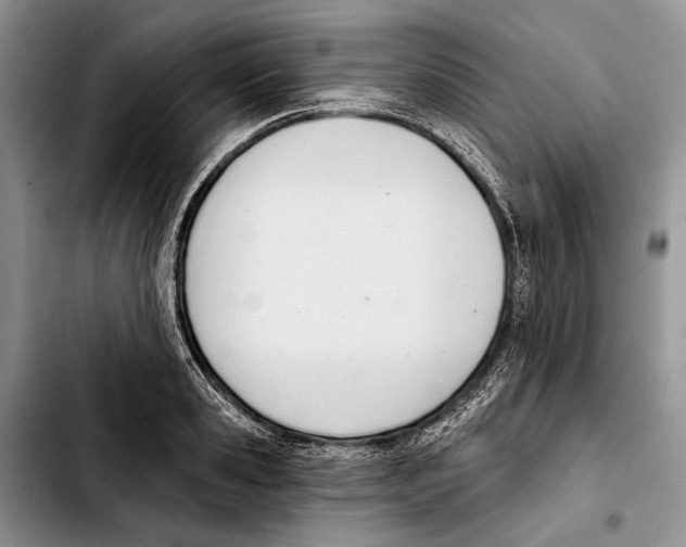 X0000103420941200810101015