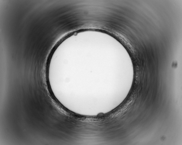 X0000103420942200810101015