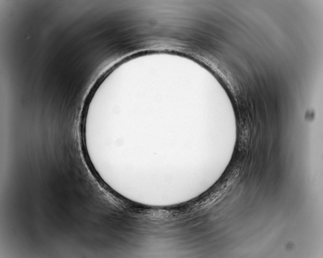 X0000103420943200810101015
