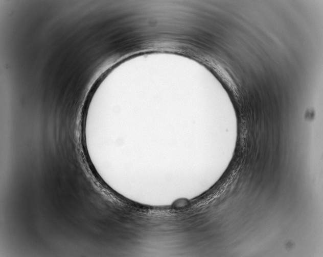 X0000103420944200810101016