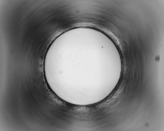 X0000103420945200810101016