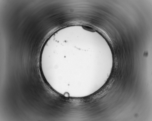 X0000103420946200810101016