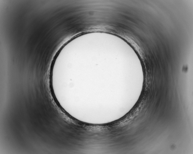 X0000103420949200810101016