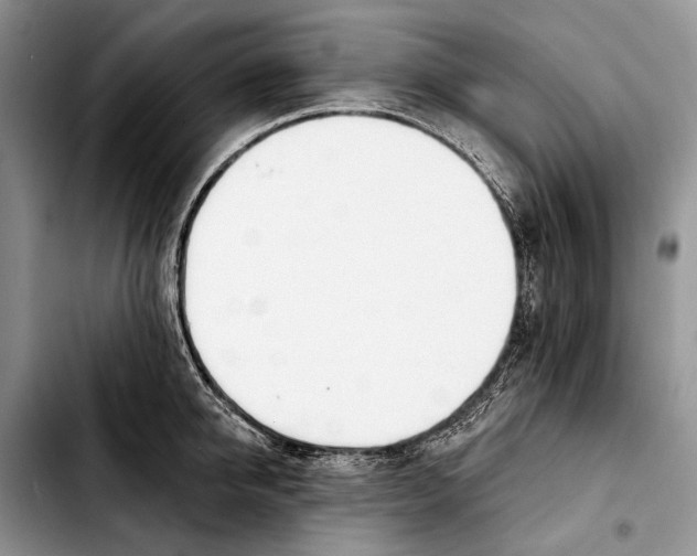 X0000103420950200810101016