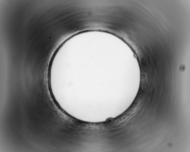 X0000103420951200810101016