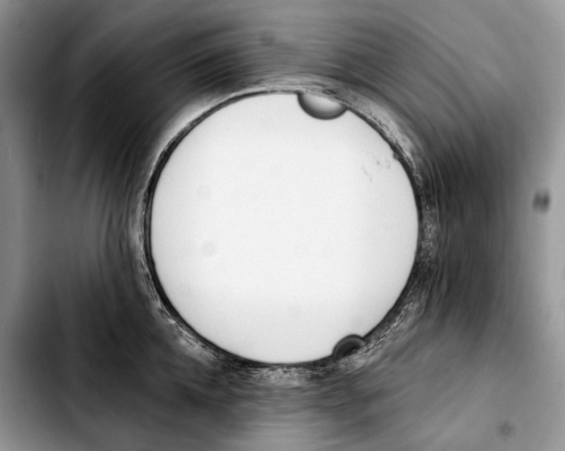 X0000103420952200810101016