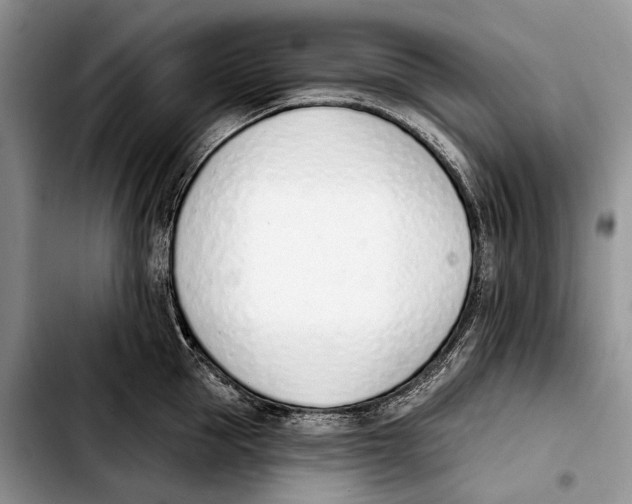 X0000103420953200810101016