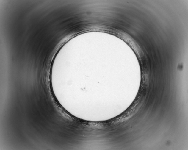 X0000103420954200810101016