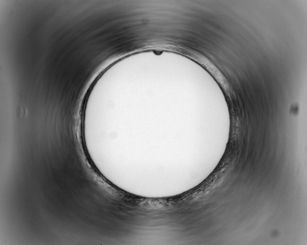 X0000103420955200810101016