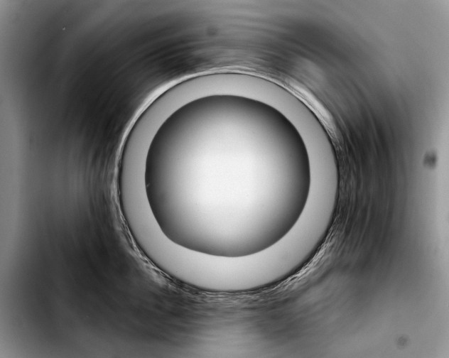 X0000103420956200810101016