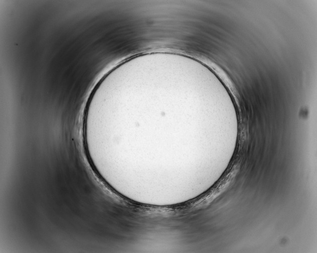 X0000103420957200810101016