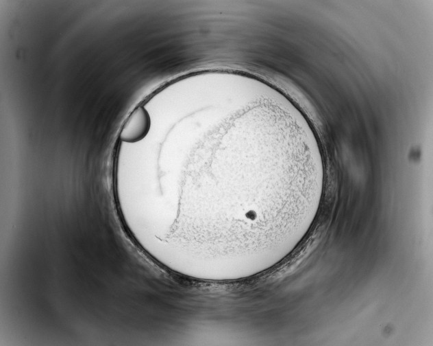 X0000103420958200810101016