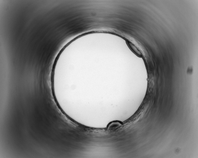 X0000103420959200810101016
