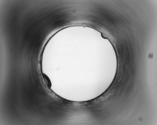 X0000103420960200810101016