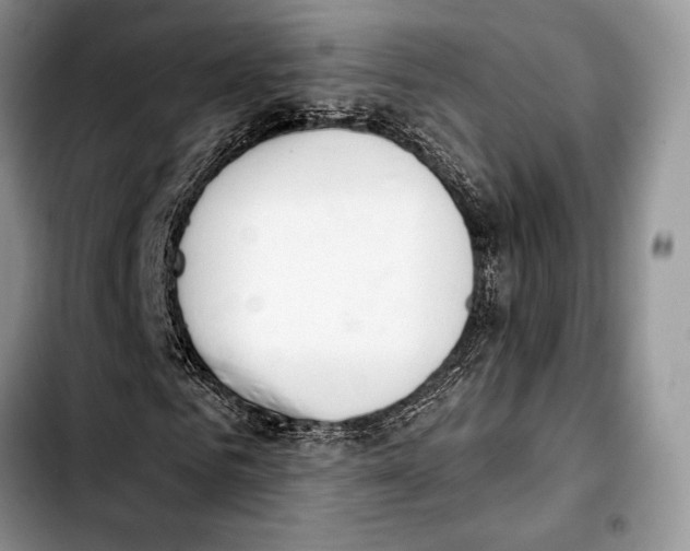 X0000103420961200810101015