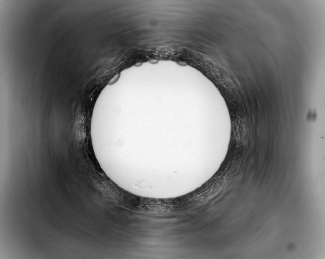X0000103420962200810101015