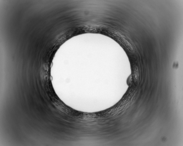 X0000103420964200810101015