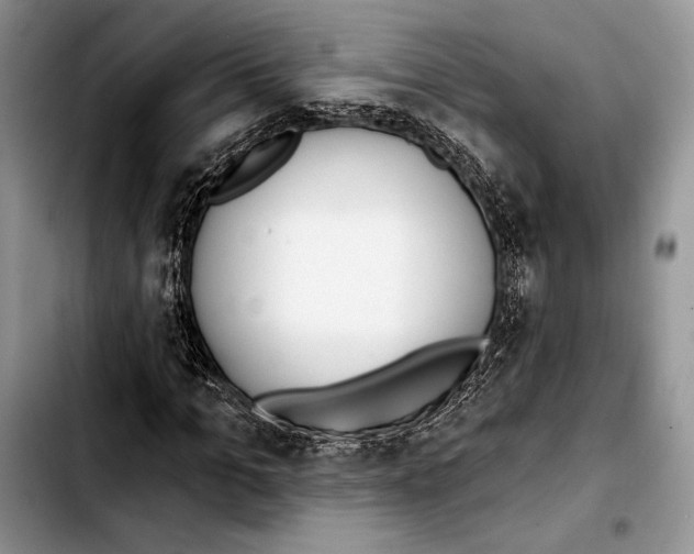 X0000103420965200810101015
