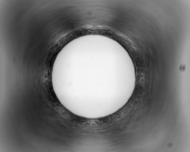 X0000103420966200810101015