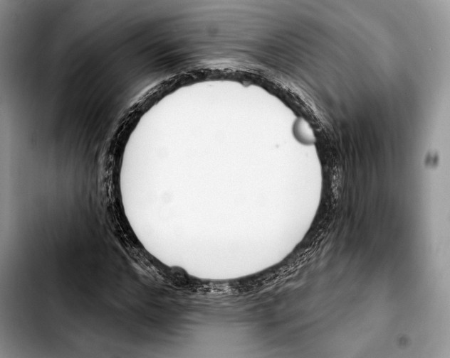 X0000103420968200810101015
