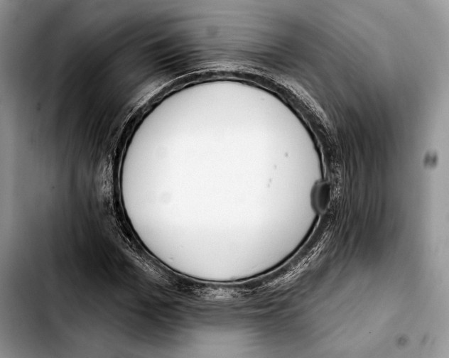 X0000103420969200810101015