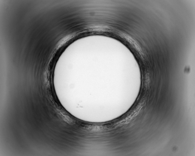 X0000103420970200810101015