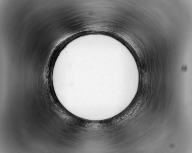 X0000103420971200810101015
