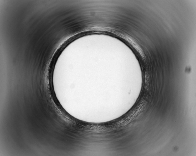 X0000103420972200810101015