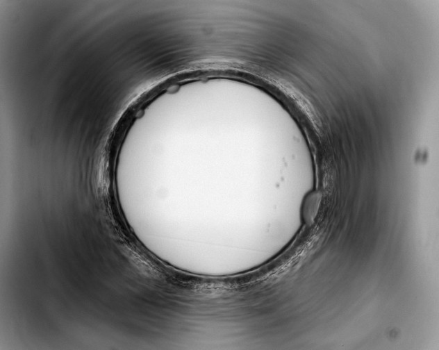 X0000103420973200810101015