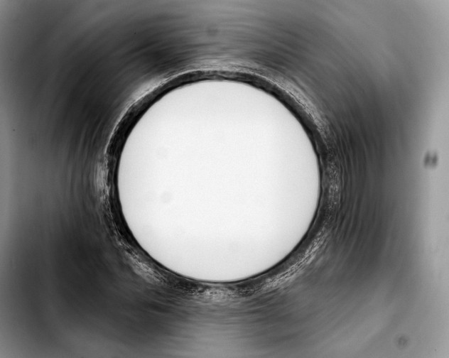 X0000103420974200810101015