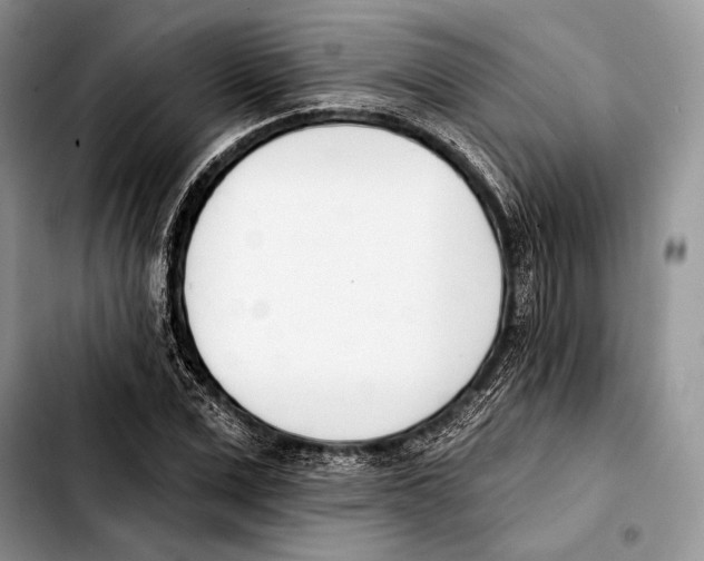 X0000103420975200810101015