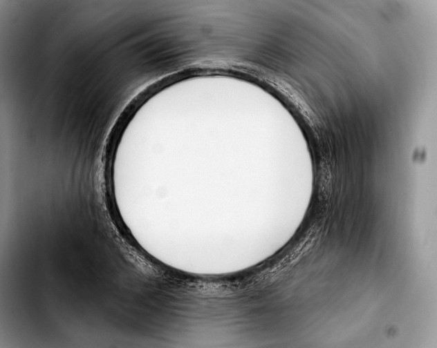 X0000103420976200810101015