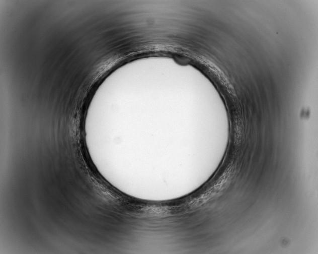 X0000103420977200810101015