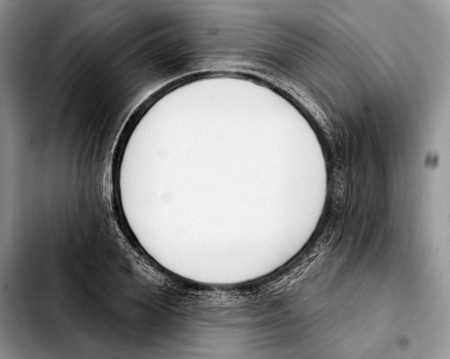 X0000103420980200810101015