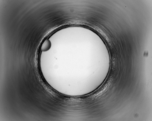 X0000103420981200810101015