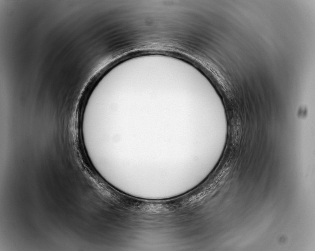 X0000103420982200810101015