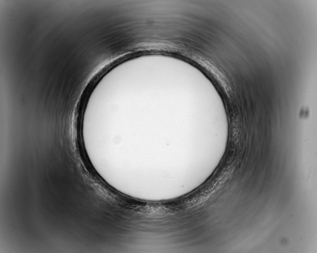 X0000103420983200810101015