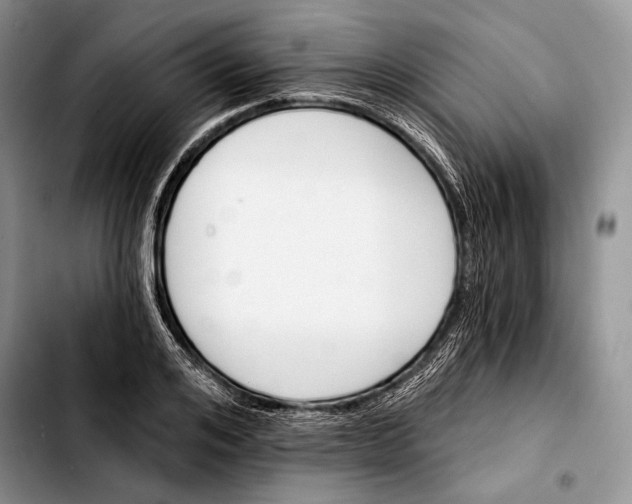 X0000103420984200810101015