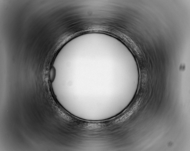 X0000103420985200810101015