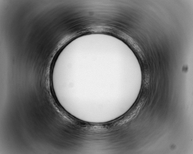 X0000103420986200810101015