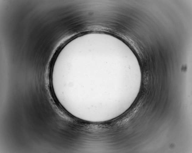 X0000103420987200810101015