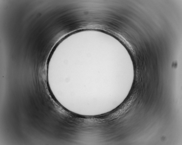 X0000103420988200810101015