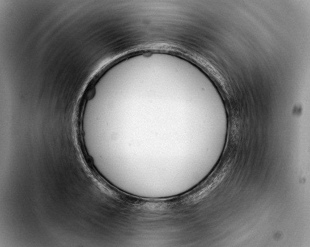 X0000103420989200810101015
