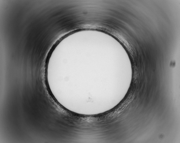 X0000103420992200810101015